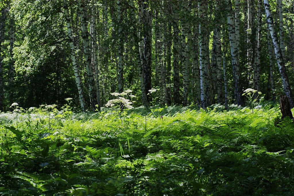 Undersøkende metoder for ⁣å oppdage og fjerne blokkeringer i rørene