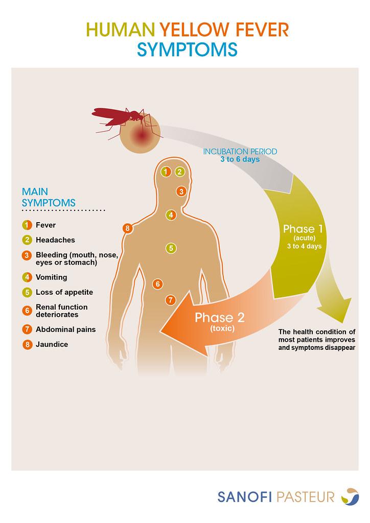 Muggsopp symptomer: Gjenkjenning og tiltak mot helsefare